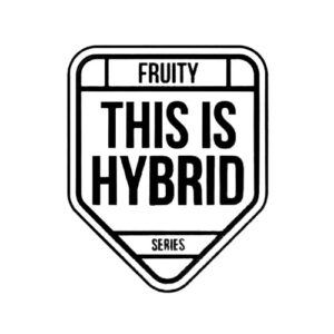 This Is Hybrid